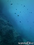 foto de buceo