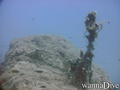 foto de buceo