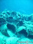 foto de buceo