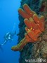 foto de buceo