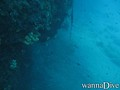foto de buceo