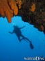 foto de buceo
