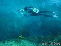 foto de buceo