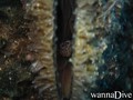 foto de buceo