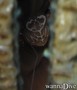 foto de buceo