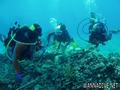 foto de buceo