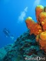 foto de buceo