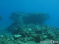 foto de buceo