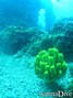 foto de buceo
