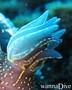foto de buceo