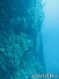 foto de buceo