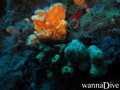 foto de buceo