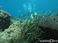 foto de buceo