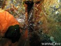 foto de buceo