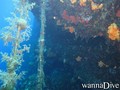 foto de buceo