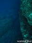 foto de buceo