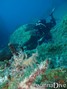foto de buceo