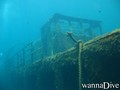 foto de buceo