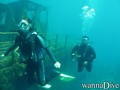 foto de buceo