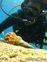 foto de buceo