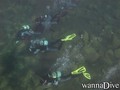 foto de buceo