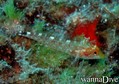 foto de buceo