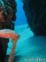 foto de buceo