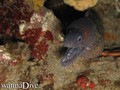 foto de buceo