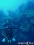foto de buceo