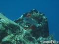 foto de buceo