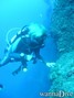 foto de buceo
