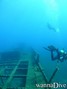 foto de buceo