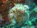 foto de buceo