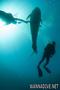 foto de buceo