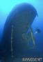 foto de buceo