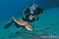 foto de buceo