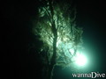 foto de buceo