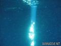foto de buceo