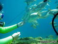 foto de buceo