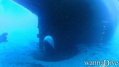 foto de buceo