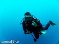 foto de buceo