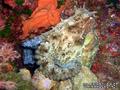 foto de buceo