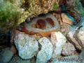 foto de buceo