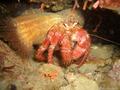foto de buceo