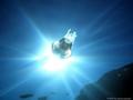 foto de buceo