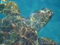 foto de buceo