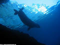 foto de buceo