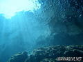 foto de buceo