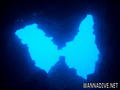 foto de buceo