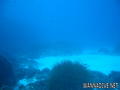 foto de buceo